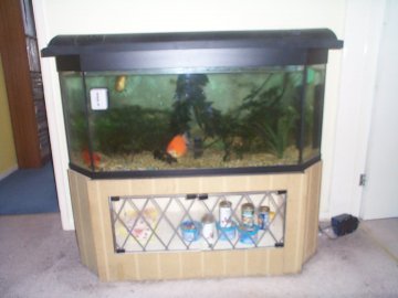 my fish tank