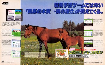 Derby Stallion: Best Keiba (Japan)