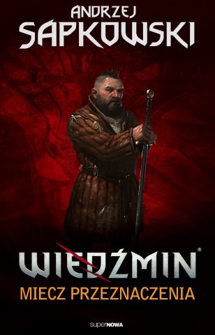 The Witcher: Sword Of Destiny (Polish 2011 edition)