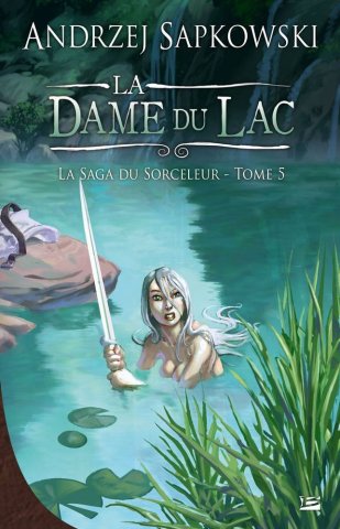 The Witcher: The Lady Of The Lake (French 2011 edition)