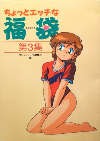 Chotto Ettchi-na Fukubukuro 3 (December 1988)