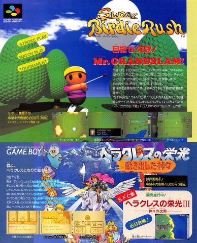 Super Birdie Rush (Japan)