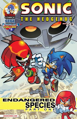 Sonic the Hedgehog 243 (January 2013)