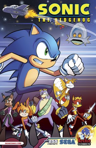 Sonic the Hedgehog 255 (January 2014) (variant edition)