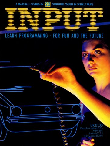 Input Issue 22 (1984)