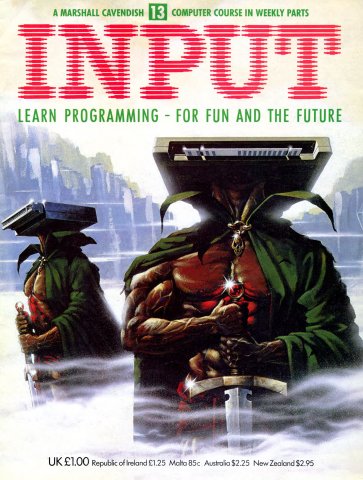 Input Issue 13 (1984)