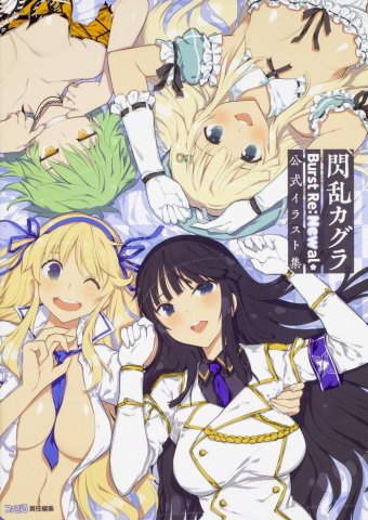 Senran Kagura Burst Re:Newal Official Illustration Collection