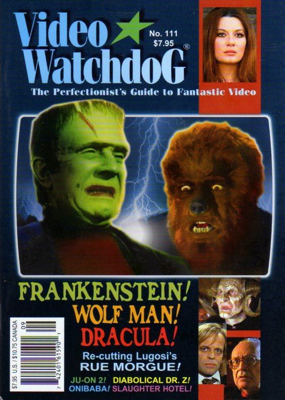 Video Watchdog Issue 111