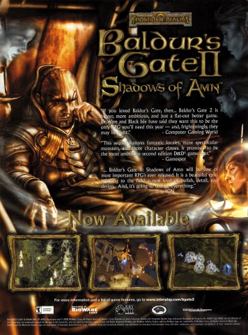 Baldur's Gate II: Shadows of Amn (February, 2001)