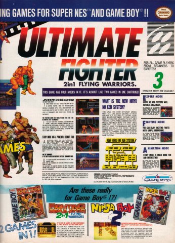Fighting Simulator (February, 1993) 02