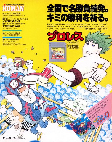 HAL Wrestling (Puroresu - Japan) (December 1990)
